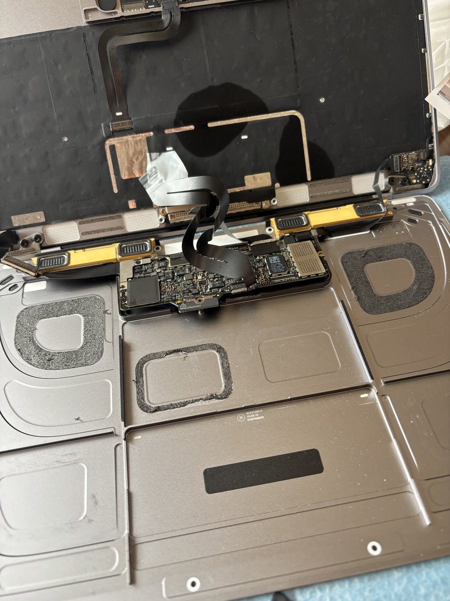 きんぴらレンコン tweet media