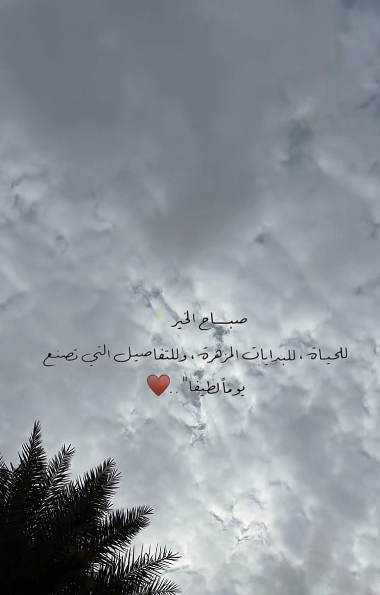 .shtat.. tweet media