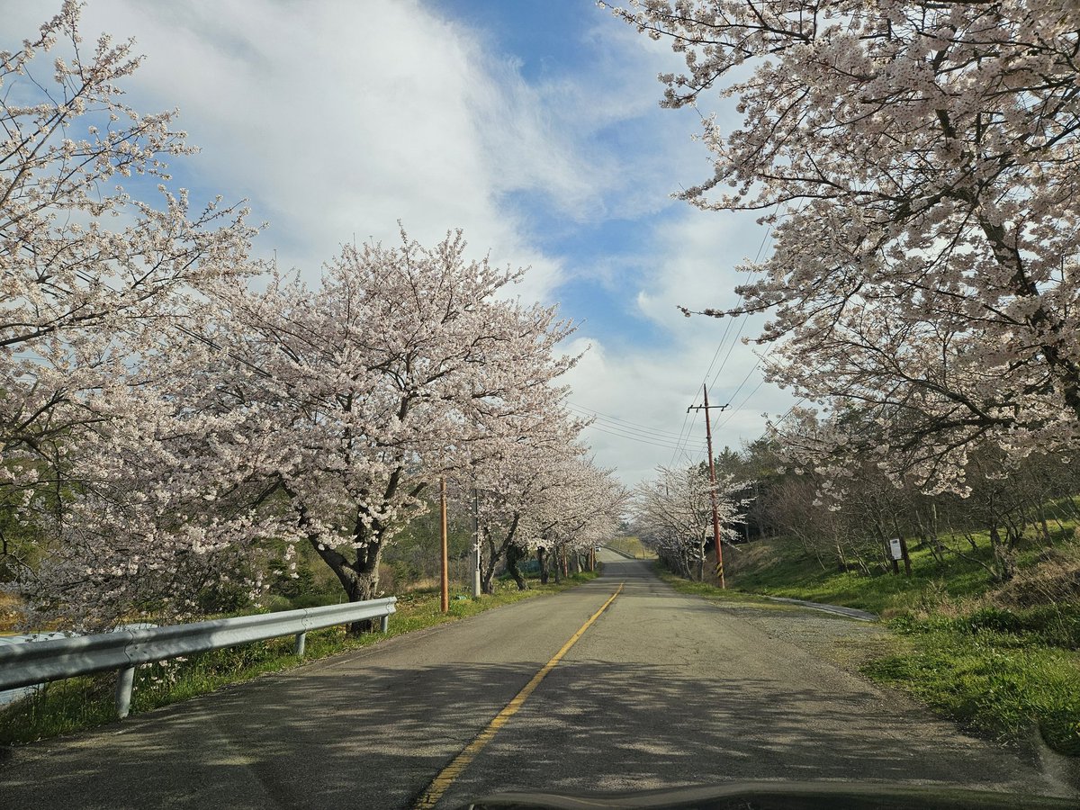 대붕역풍비박길수 tweet media