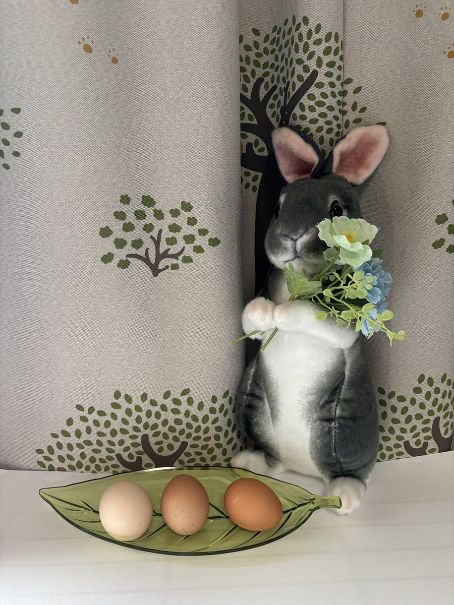 ranunculous3's tweet photo. @Handelbot Happy Easter🌼🐰🐾🐣🌷 https://t.co/Gm3SvDSzfm