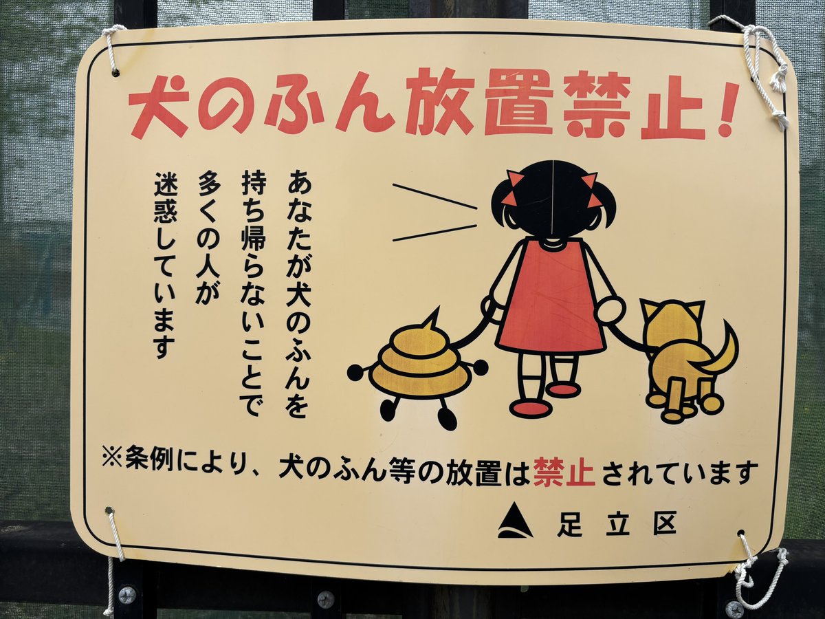 公団ウォーカー 照井啓太 tweet media