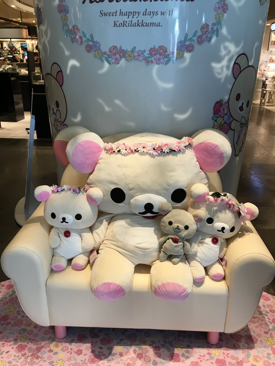 コリラファン tweet media