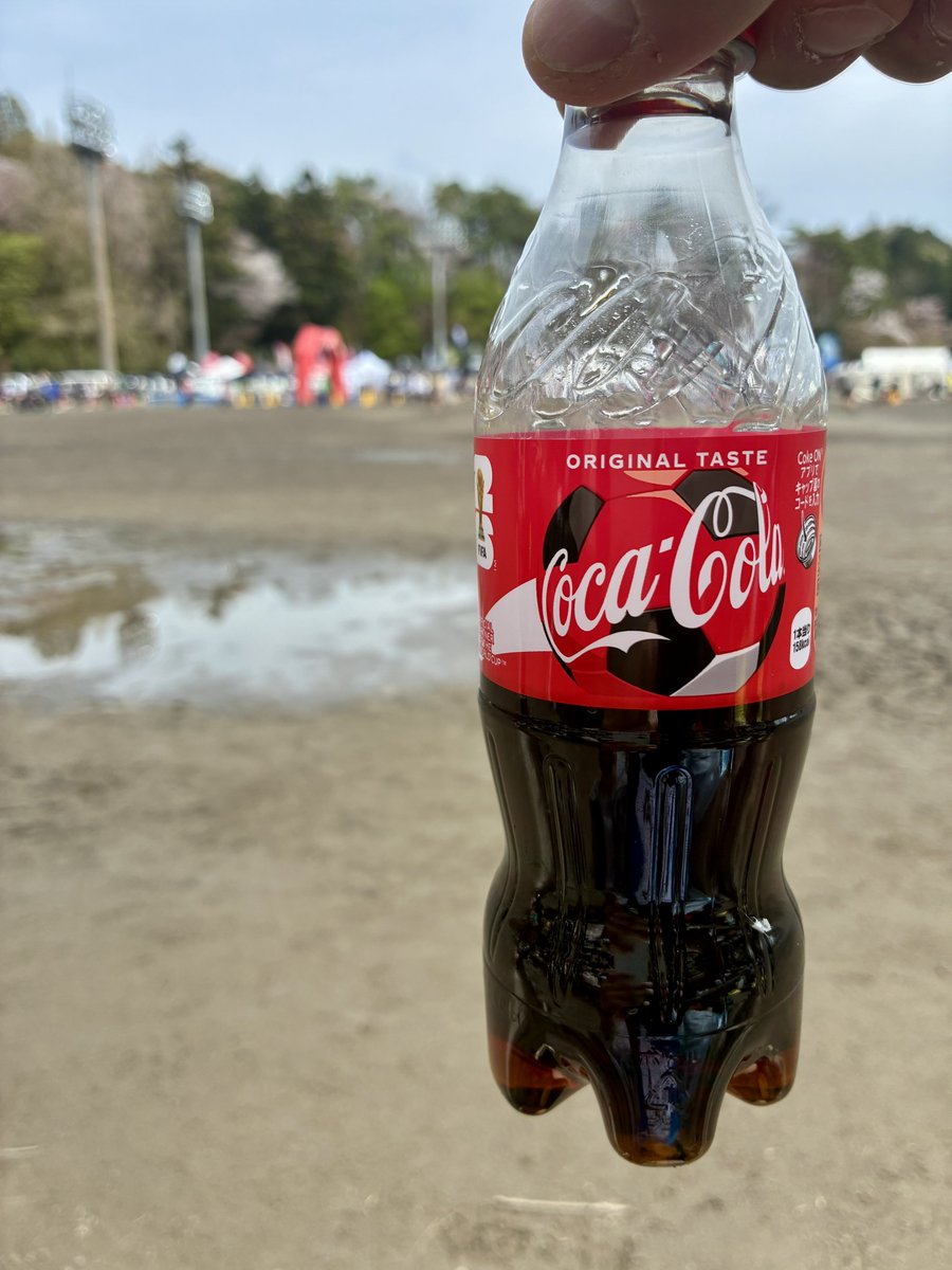 うさぎのようなもの tweet media