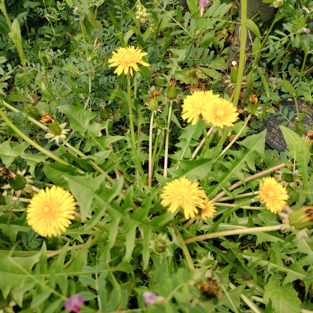 💜 Private Joy 🎶 tweet media