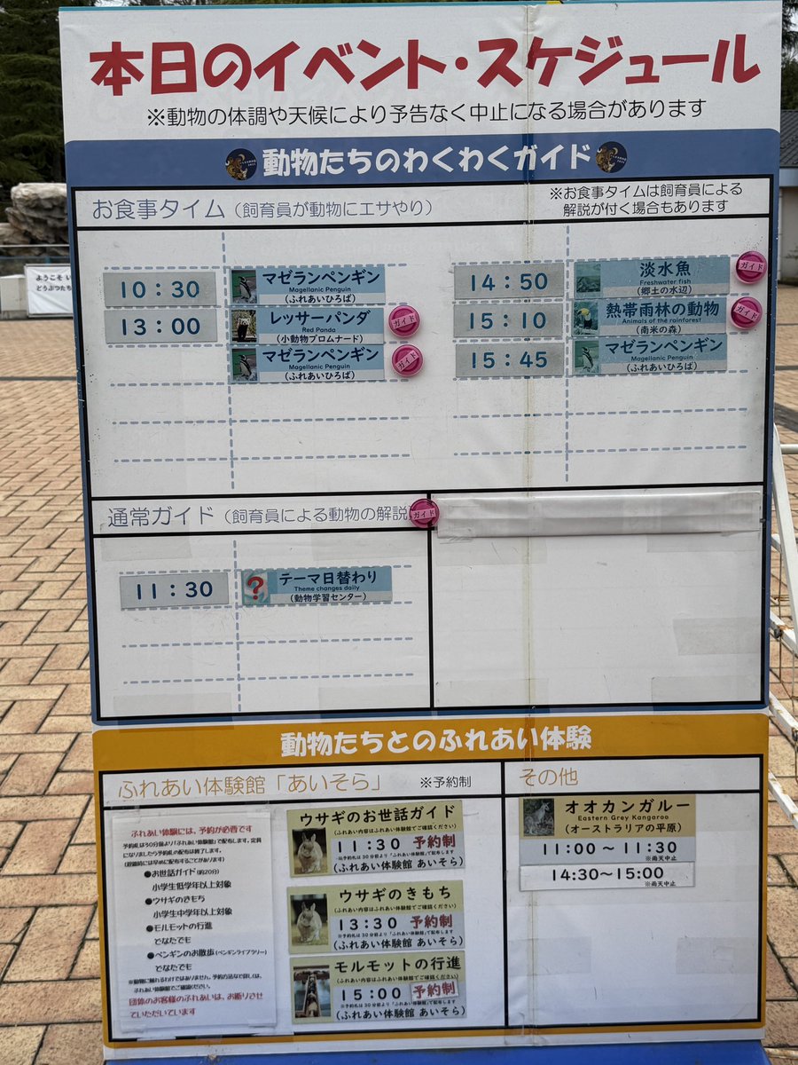 プチトマ tweet media