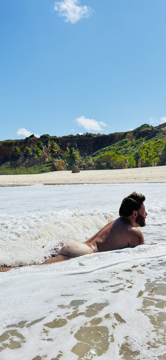 brazildaddybear tweet media