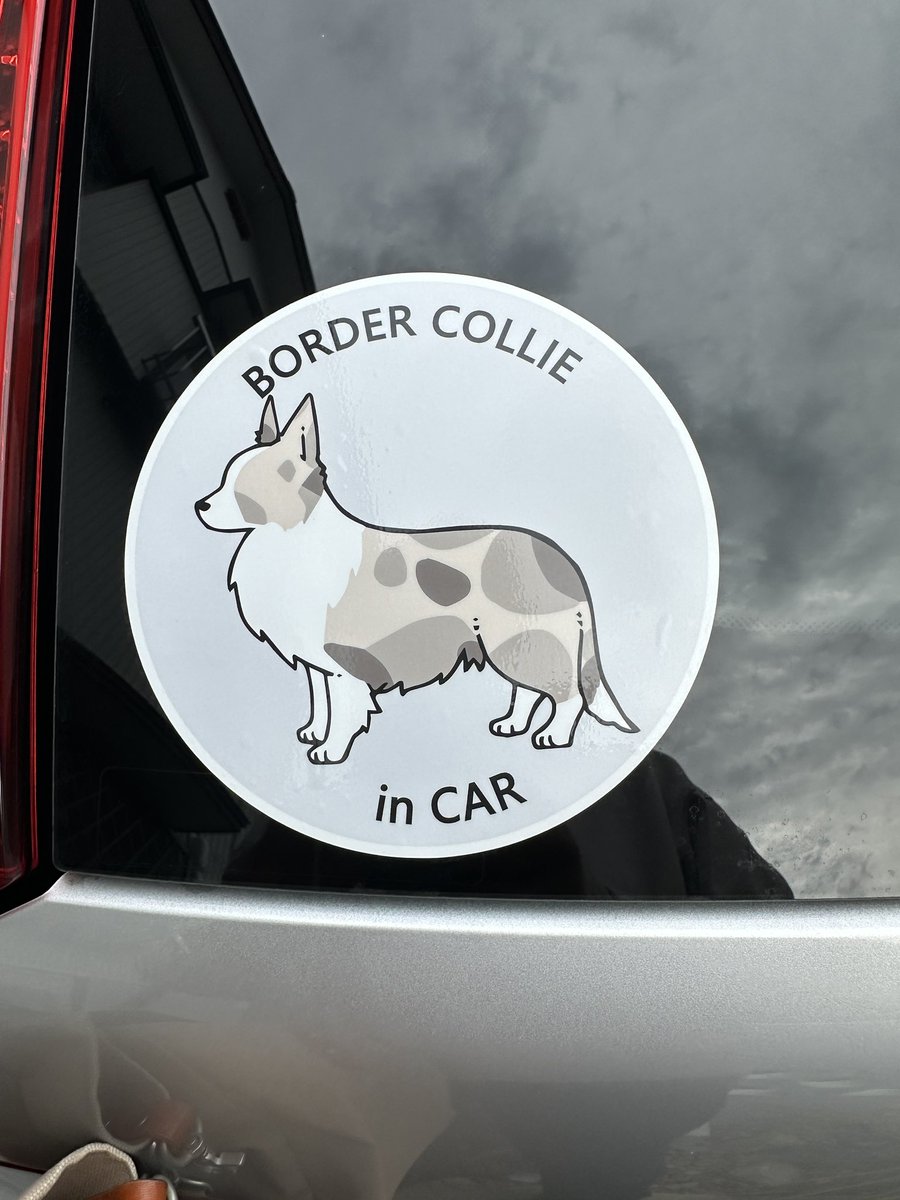 くまごろう tweet media