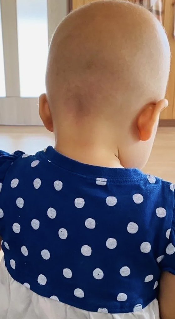 ゼロワン競馬 tweet media