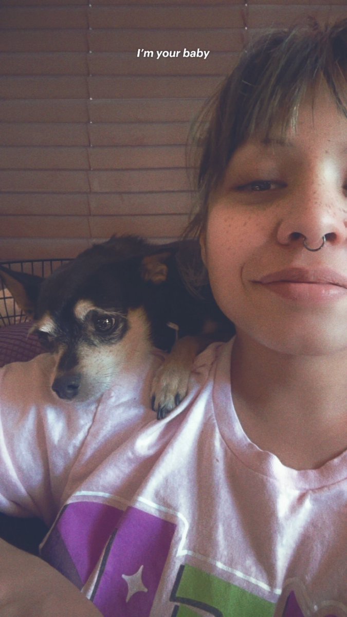 julls ♡ tweet media