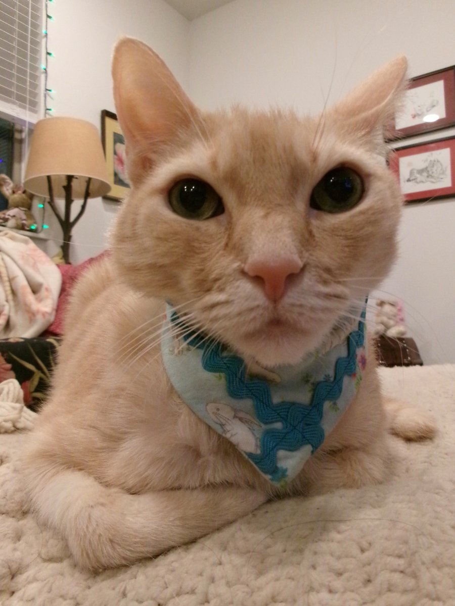 Travis Ford tweet media