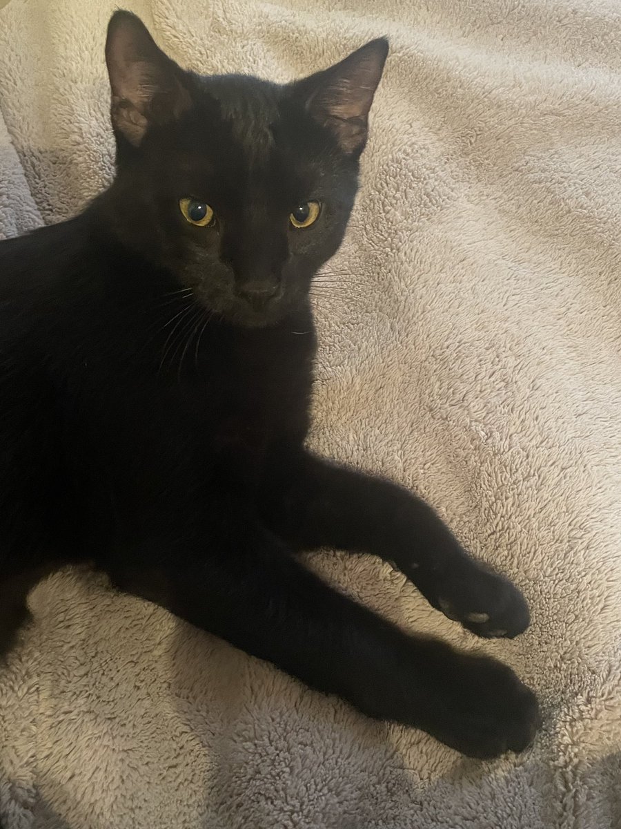 kazzerath tweet media