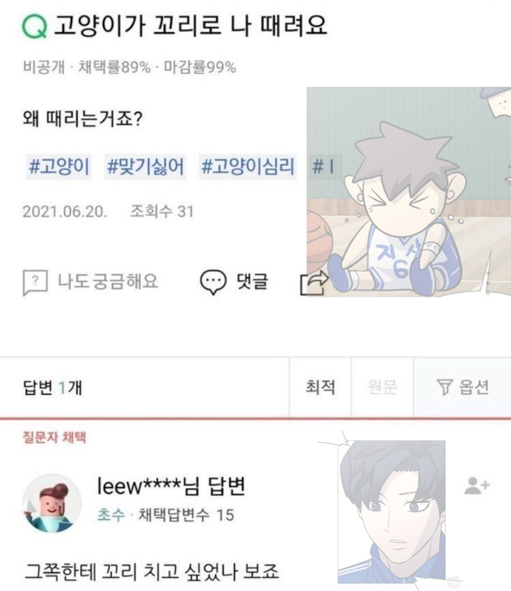 녹차밤양갱 tweet media