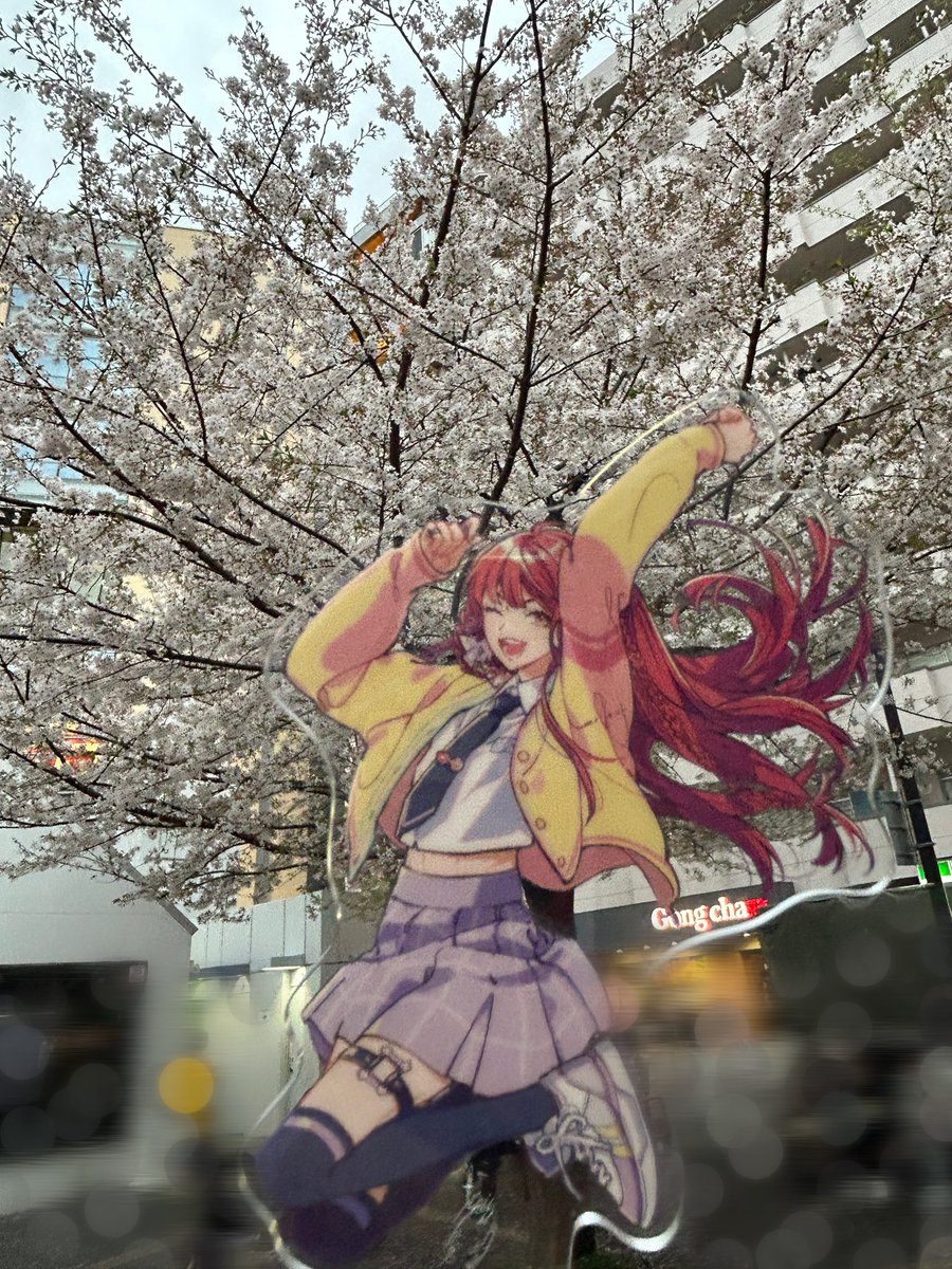 いち。 tweet media