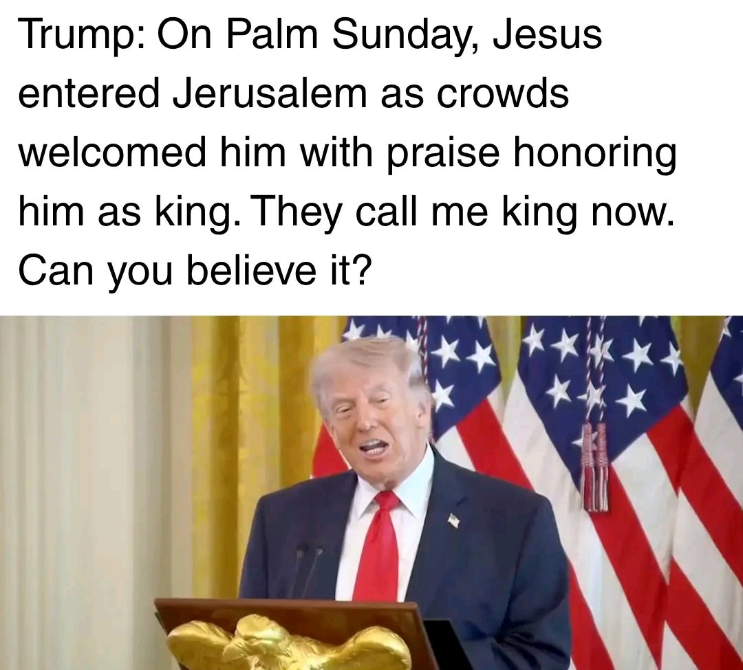 Not Adolfo tweet media