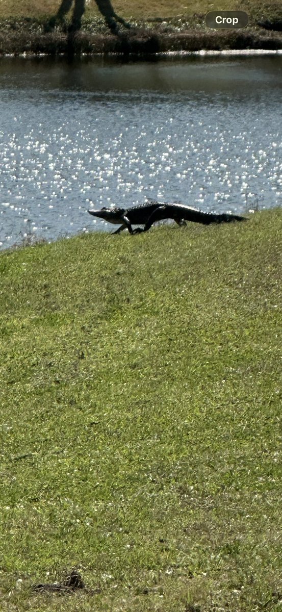 Will Whitlock 🇺🇸 tweet media