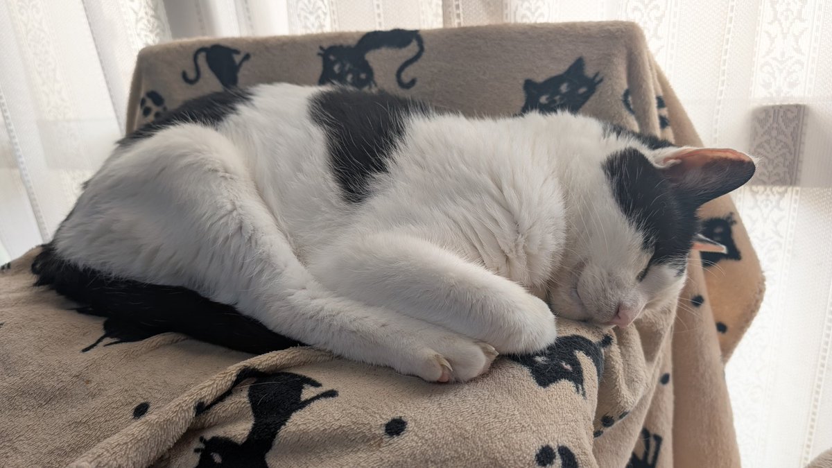 遊牧舎銕仙(回復中) tweet media