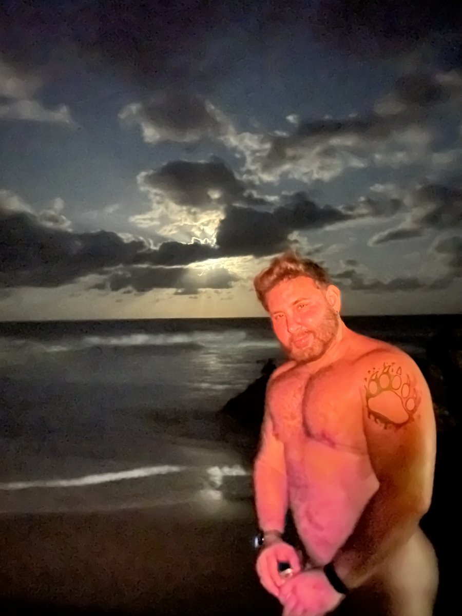 brazildaddybear tweet media