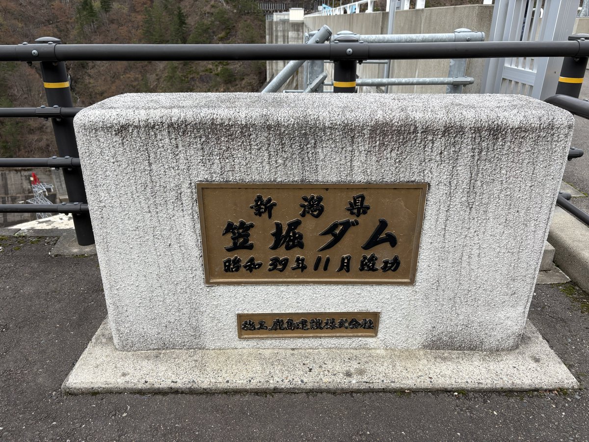 白猫🦍 tweet media