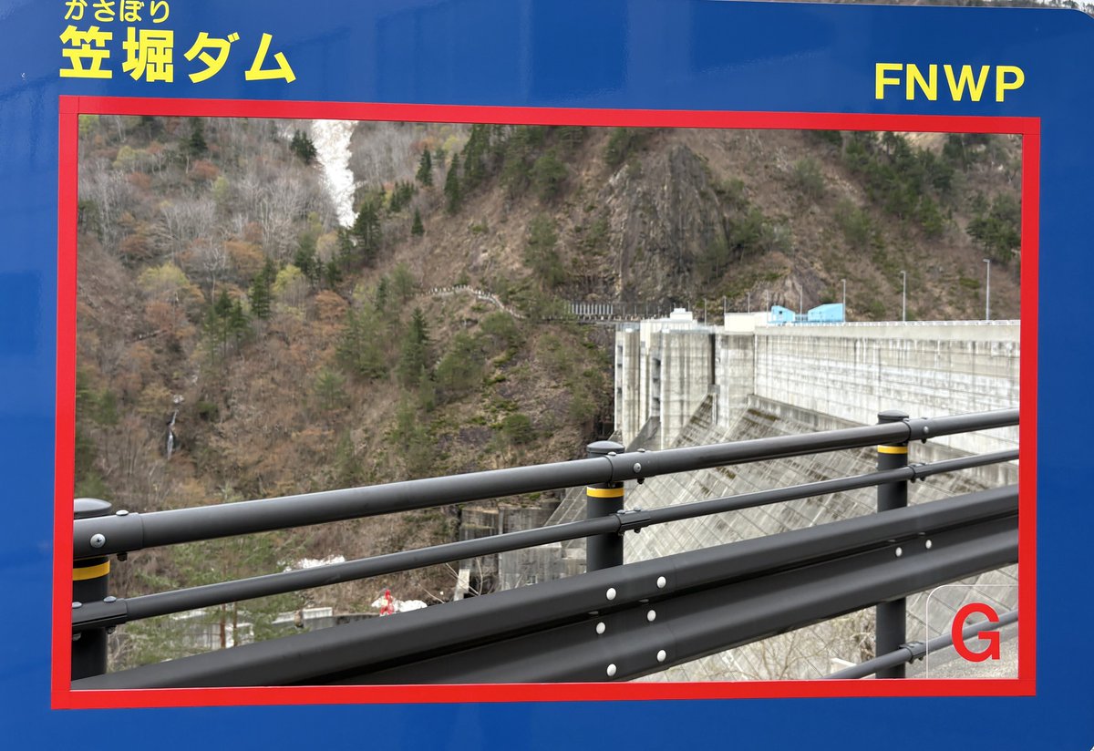 白猫🦍 tweet media