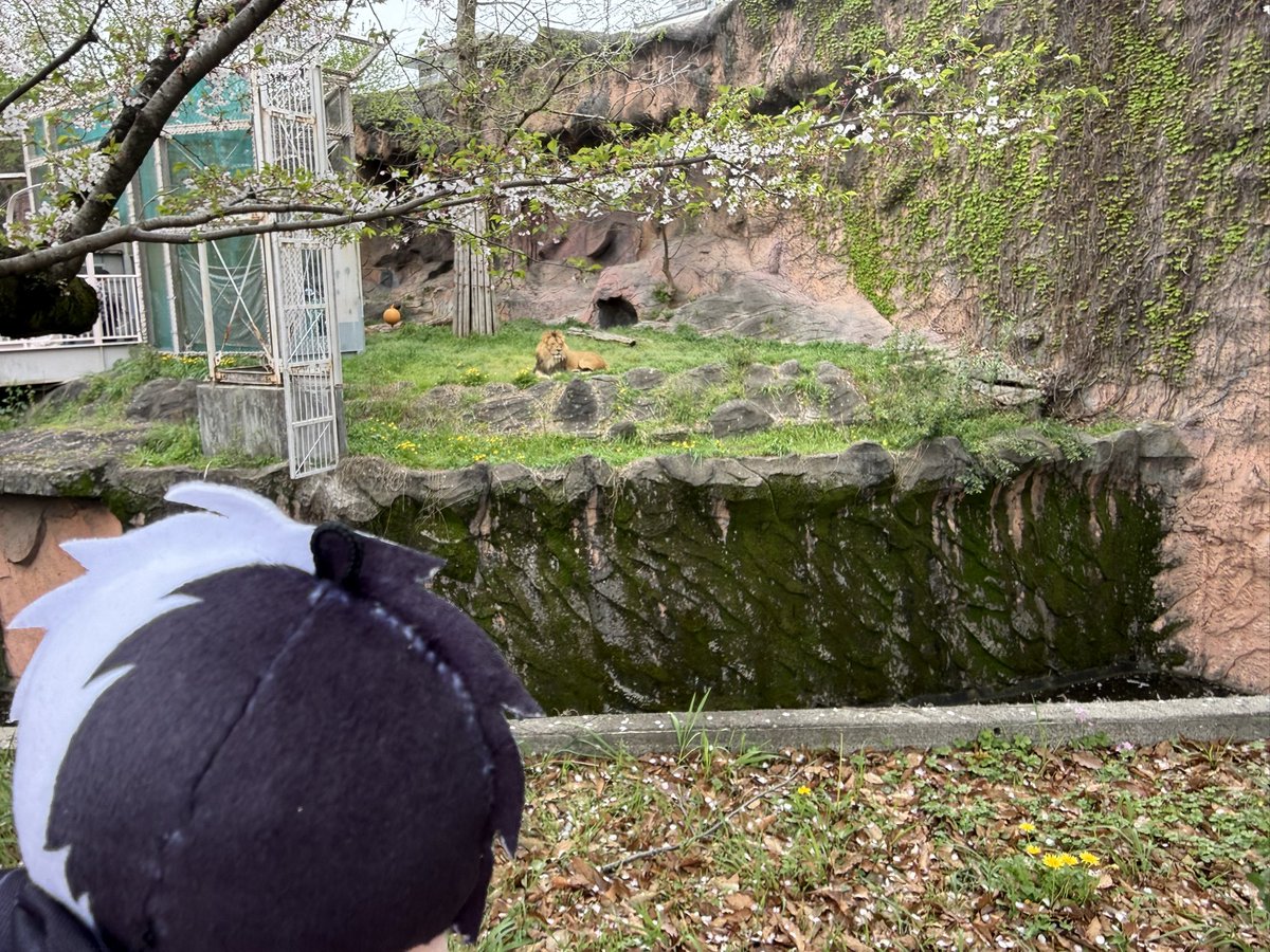 どっと tweet media