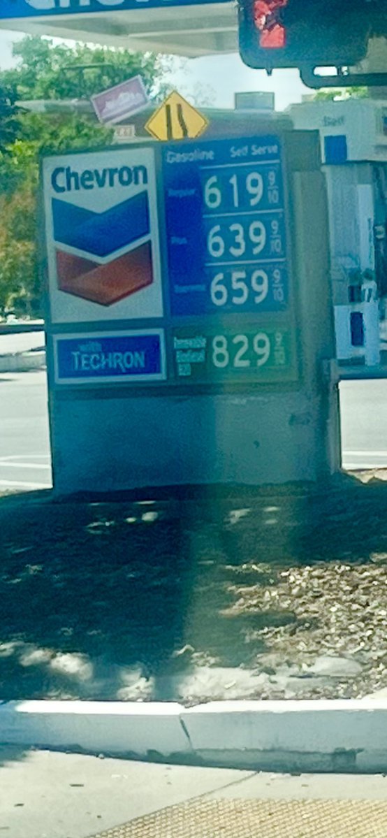 Katy Grimes tweet media