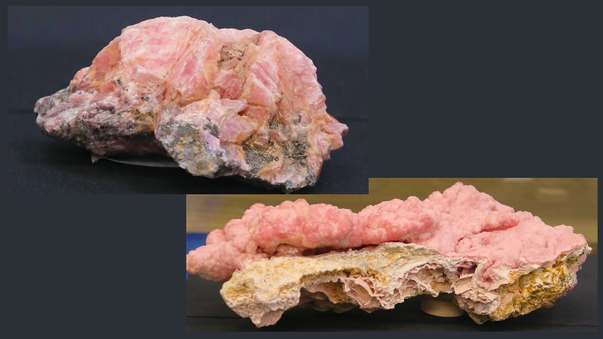 福岡市科学館【公式】 tweet media