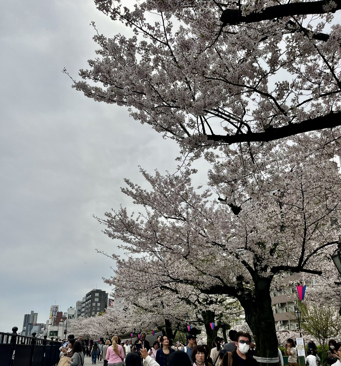 japantotheworld.com tweet media