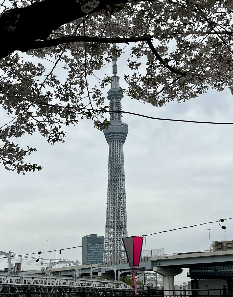 japantotheworld.com tweet media