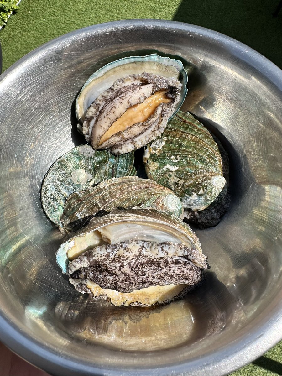 らちお tweet media