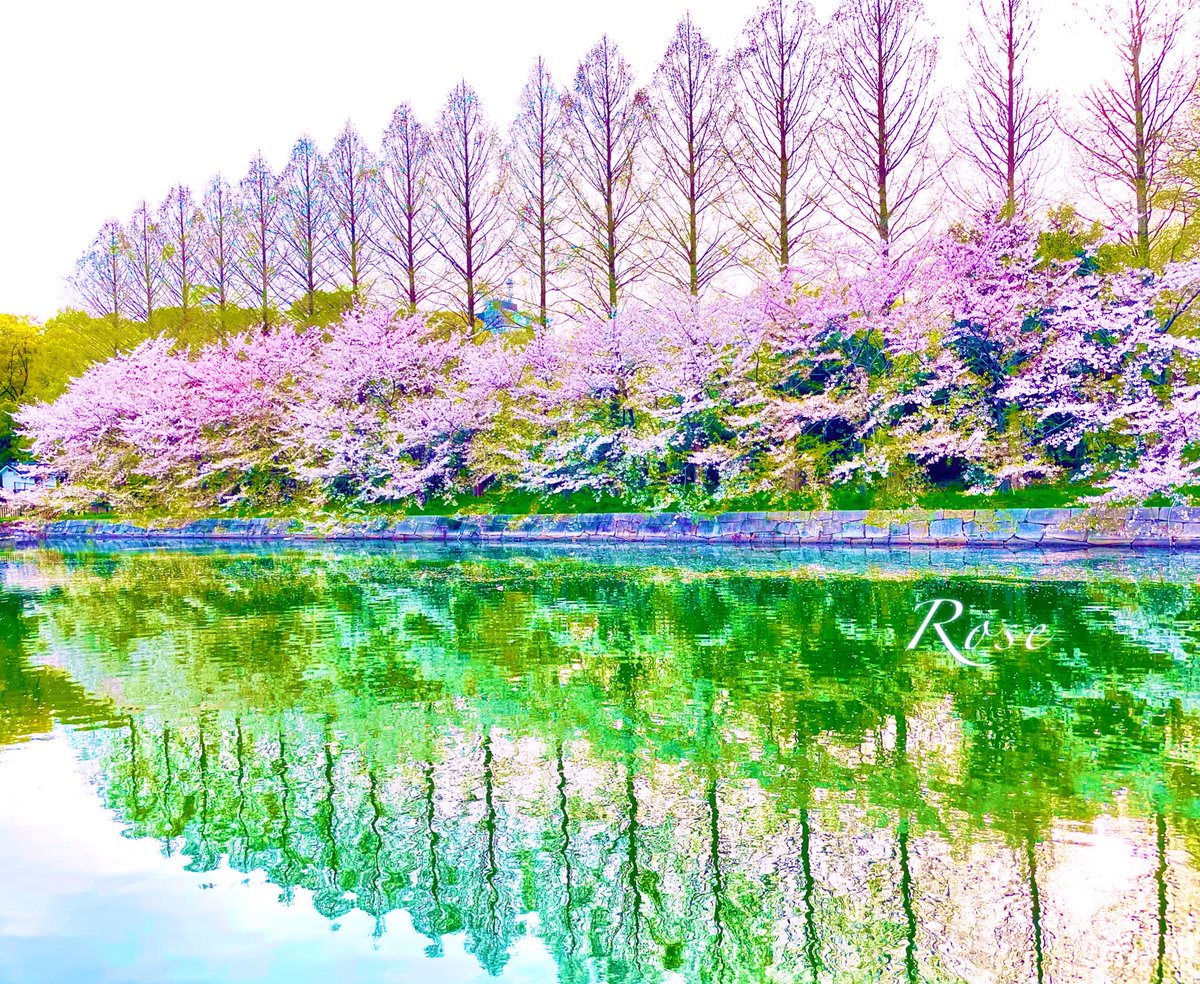 RedRoseloveM's tweet image. 🌸Happy Sunday everyone 🌸

ROSE🌹🦋𓂃 𓈒✍︎ѕмιℓє ෆ*.°

📸Photo by 🌹ROSE 🌹

#NaturalBeauty #Cherryblossoms 🌸

Good morning, everyone 🌸