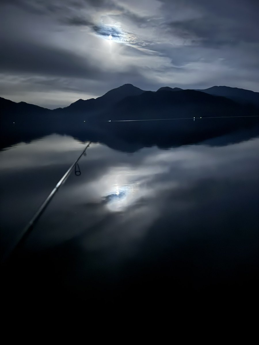 夢先案内人 tweet media