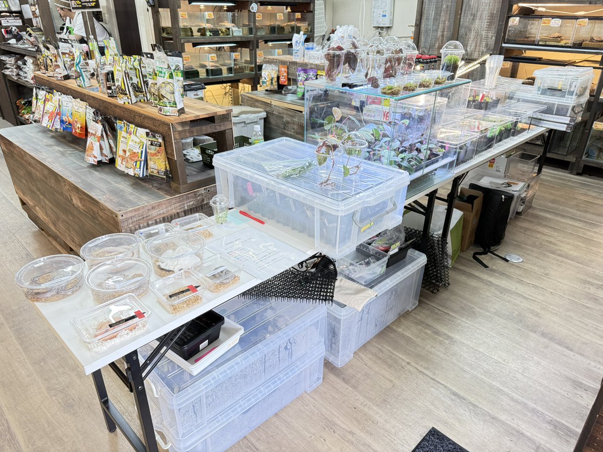 Artifact_UG's tweet photo. 持ち込みイベント
準備完了しました！！

14:00〜21:00 アンテナ井尻店にて

お待ちしております！！ https://t.co/EnOt3ATuAY