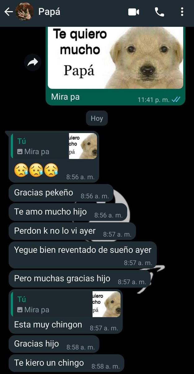 Animalitos en aprietos. tweet media