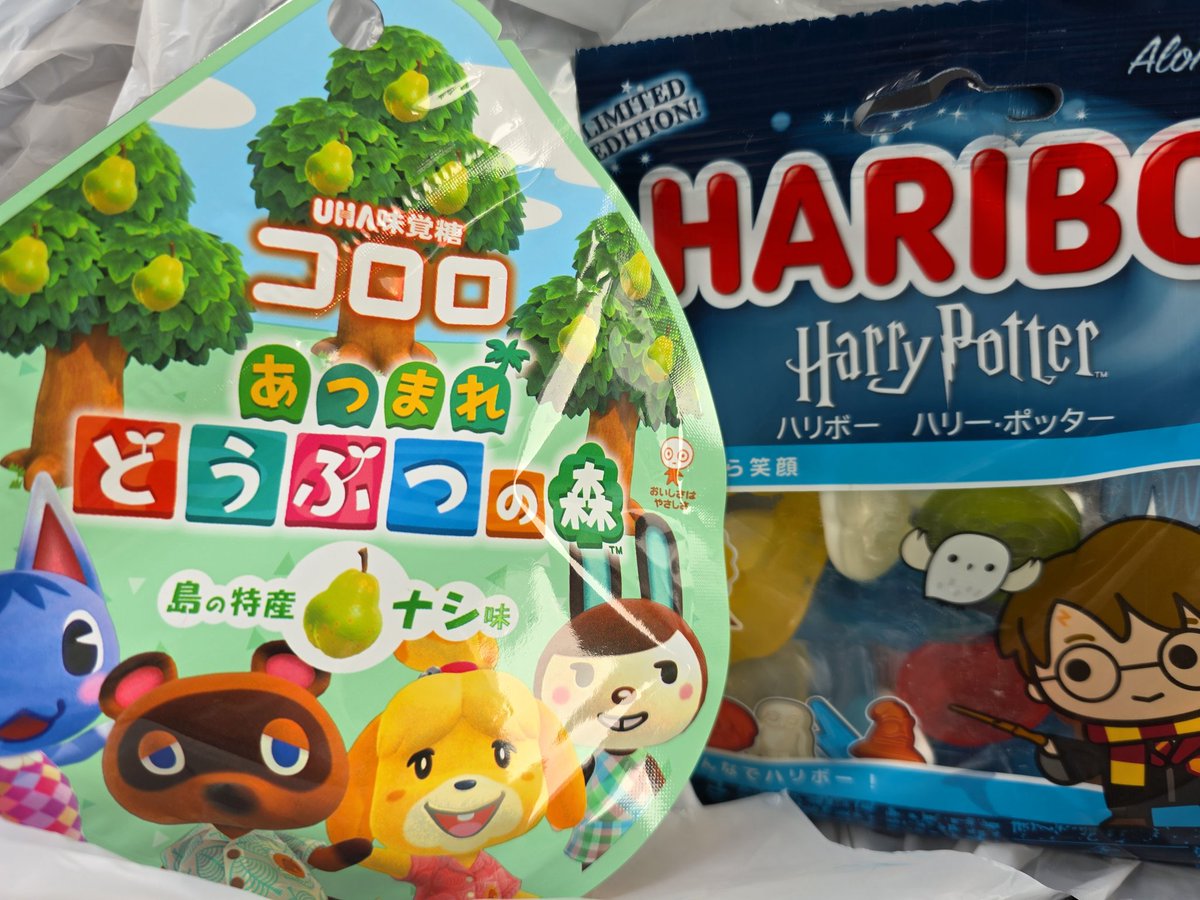 アオ🐕🐈‍⬛ tweet media