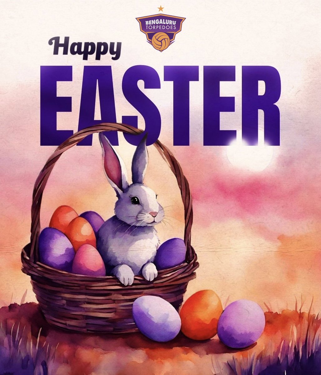 Bengaluru Torpedoes tweet media