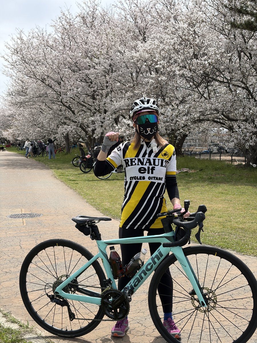 まりCATS tweet media