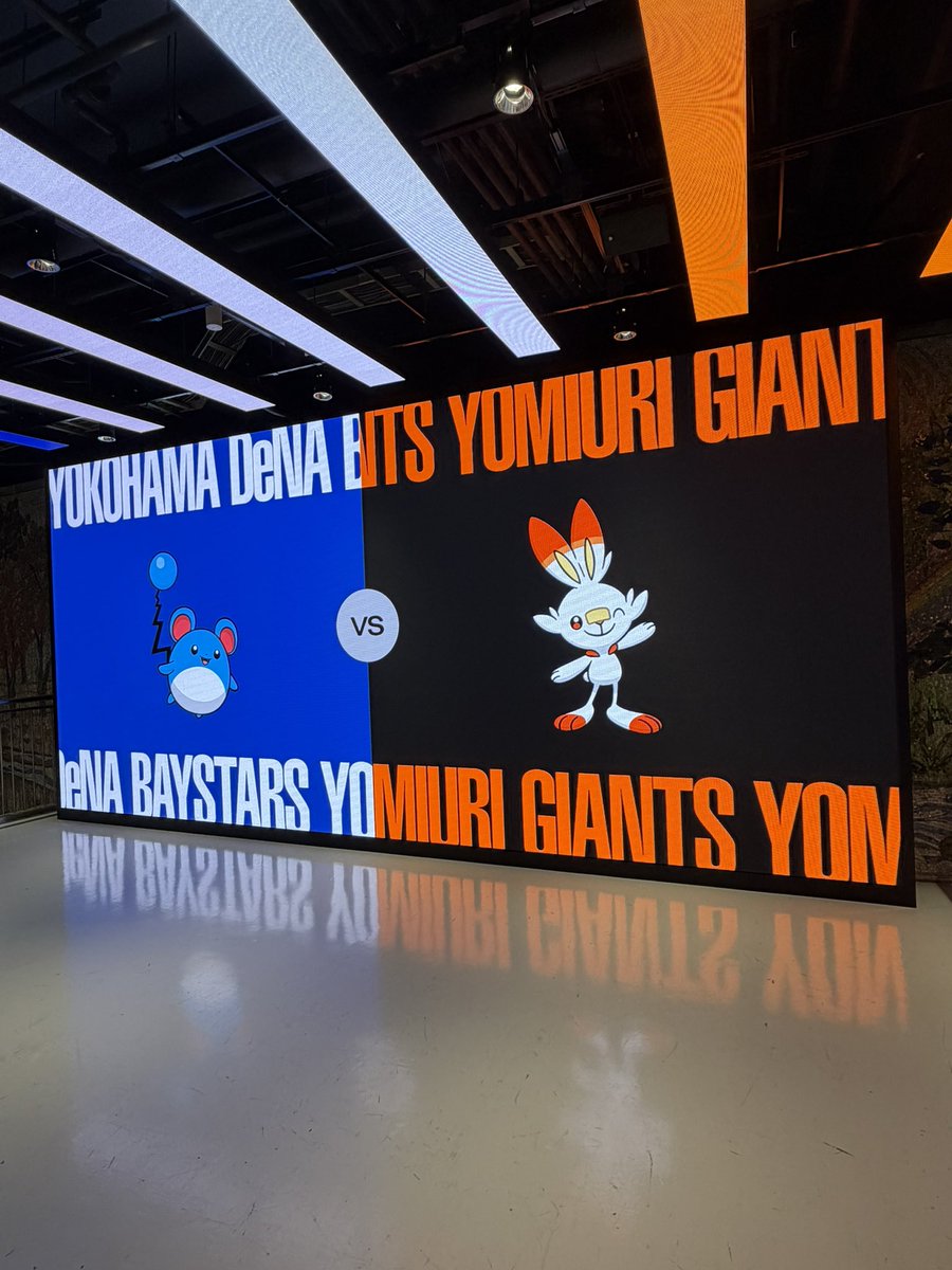 おいも🐰⚾️ tweet media