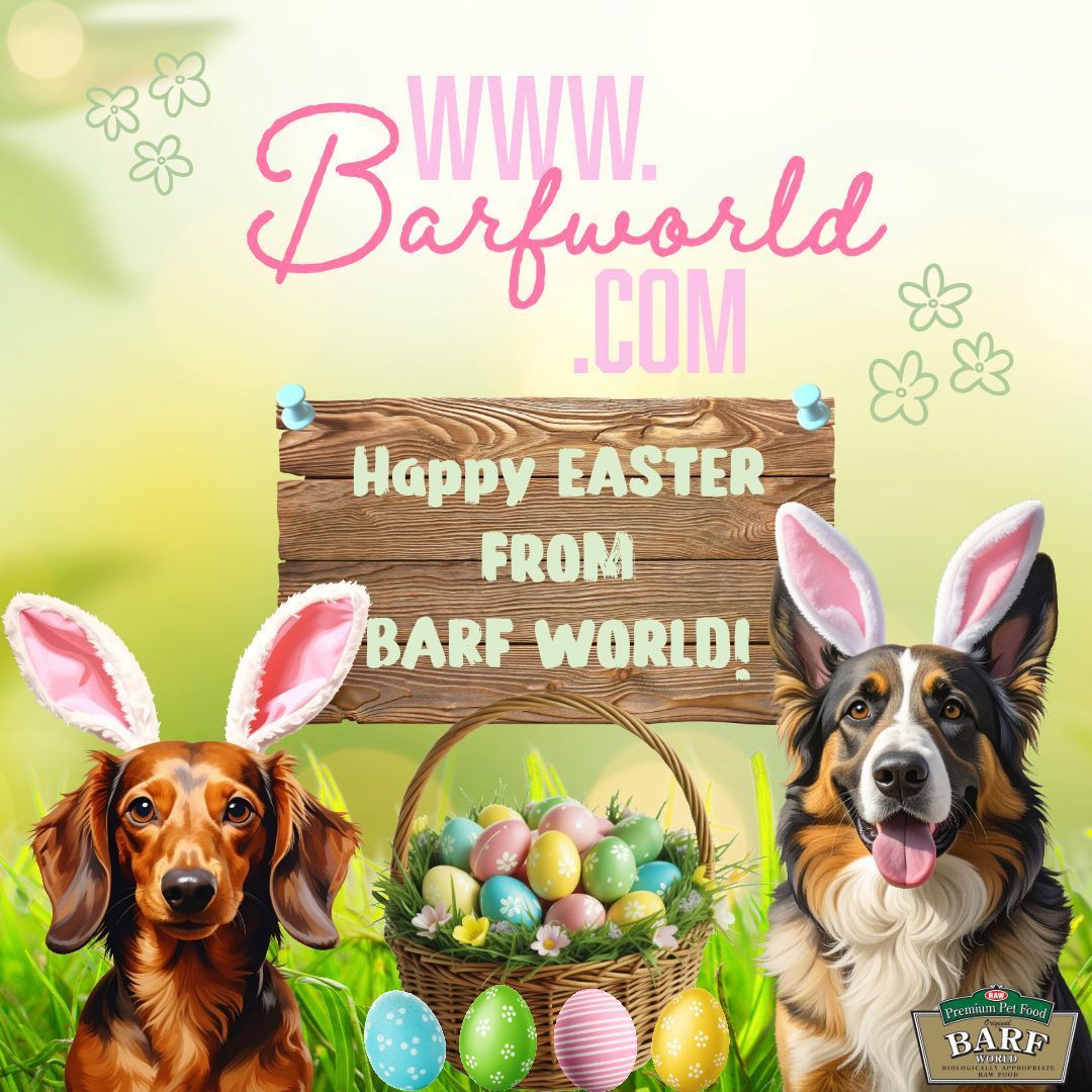 BARFWorld's tweet image. Happy Easter from Barf World! 🐣 🐶 🌷 
Treat your pup with something egg-stra special this spring! 🐾 🥕  

#HealthyDogFood #DogNutrition #PetWellness #DogHealth #BalancedDiet