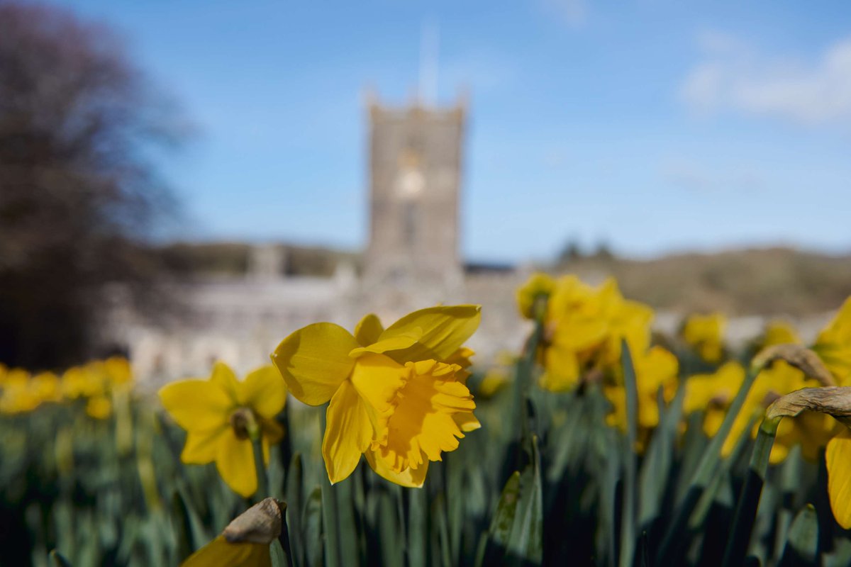 Pasg Hapus ✝️❤️

Beth bynnag rydych chi’n gwneud heddiw, dymunwn Pasg hapus a heddychlon i chi gyd.