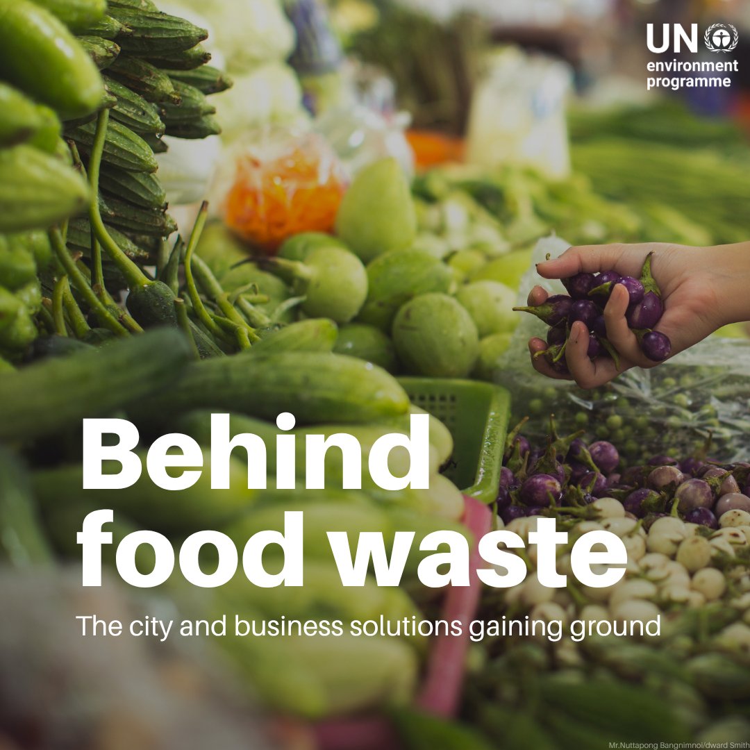 UN Environment Programme tweet media