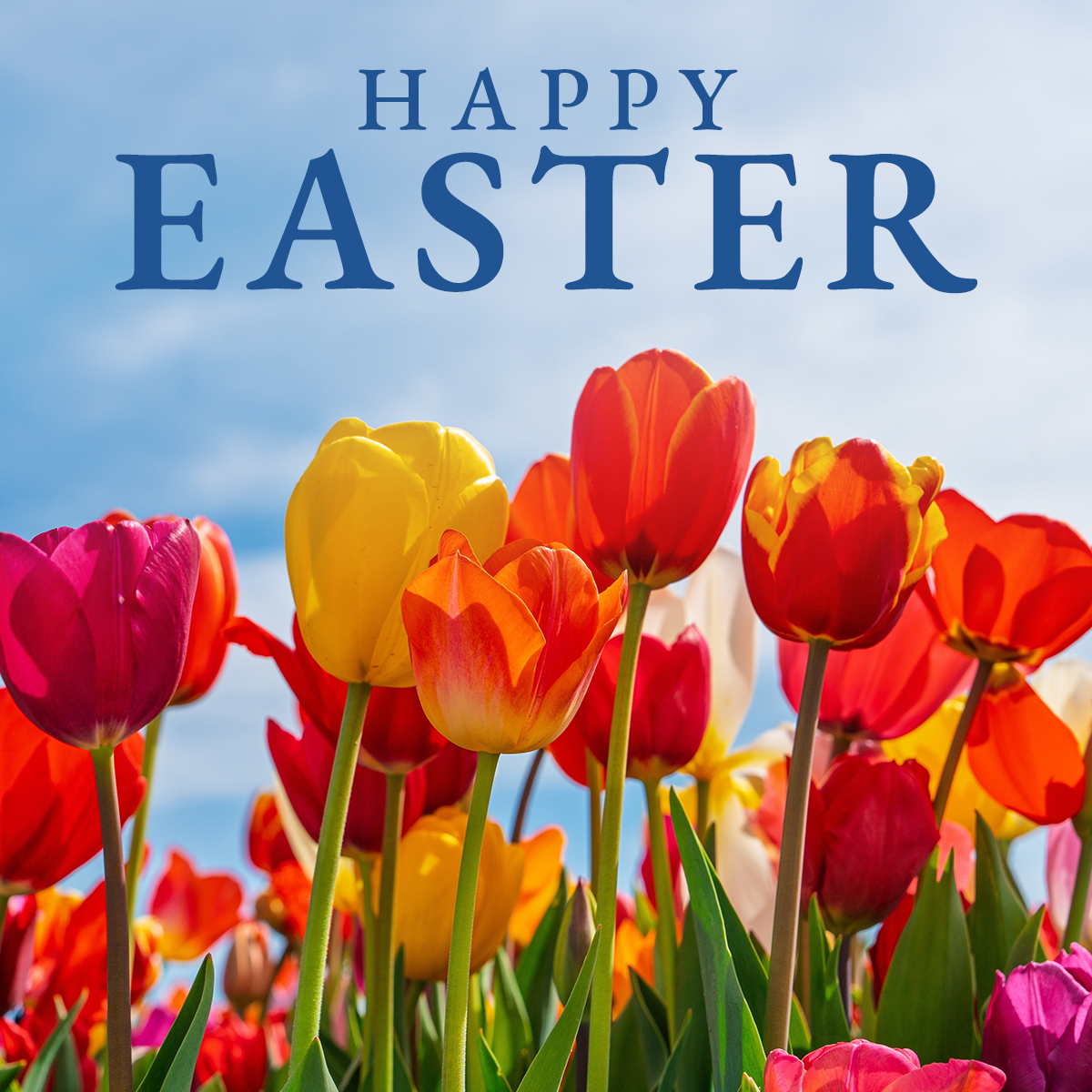 U.S. Embassy Islamabad tweet media