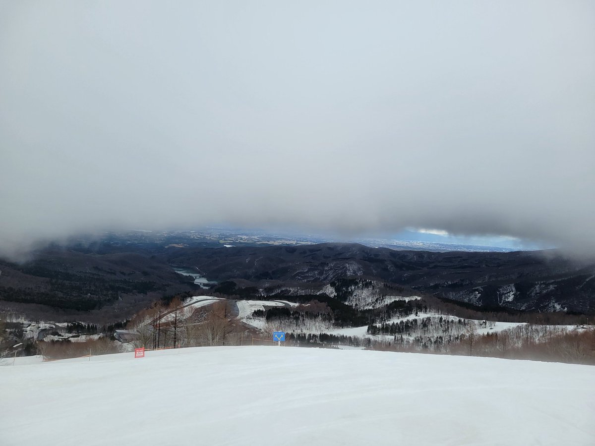 れいと🍋 tweet media