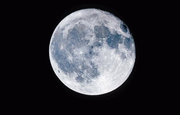 Alex Nitzberg tweet media