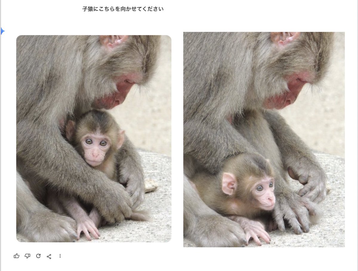 昔撮った写真、Geminiでカメラ目線にしてもらったら可愛さそのままですごいな。