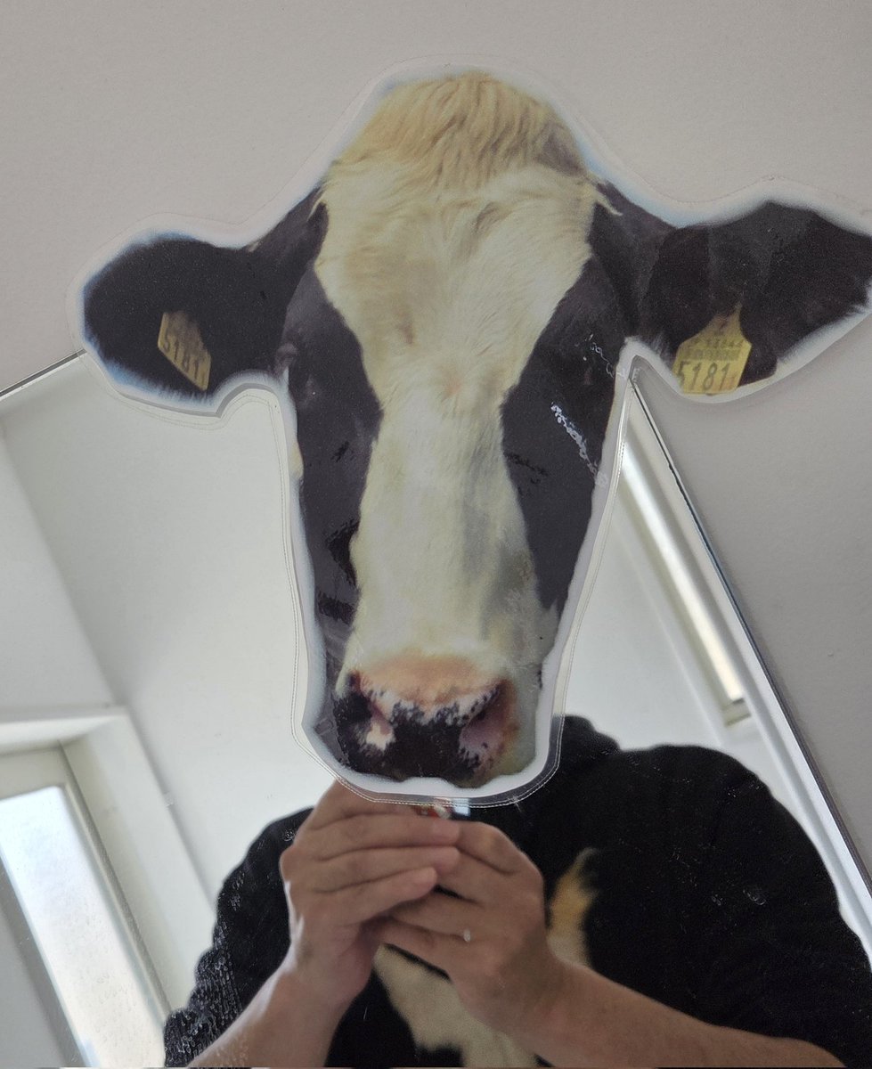 鼬家ぷにすけ tweet media