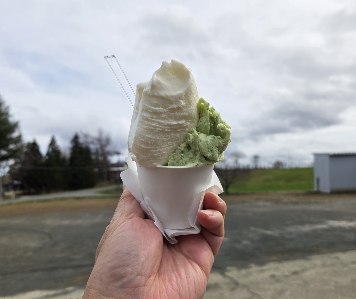 鼬家ぷにすけ tweet media