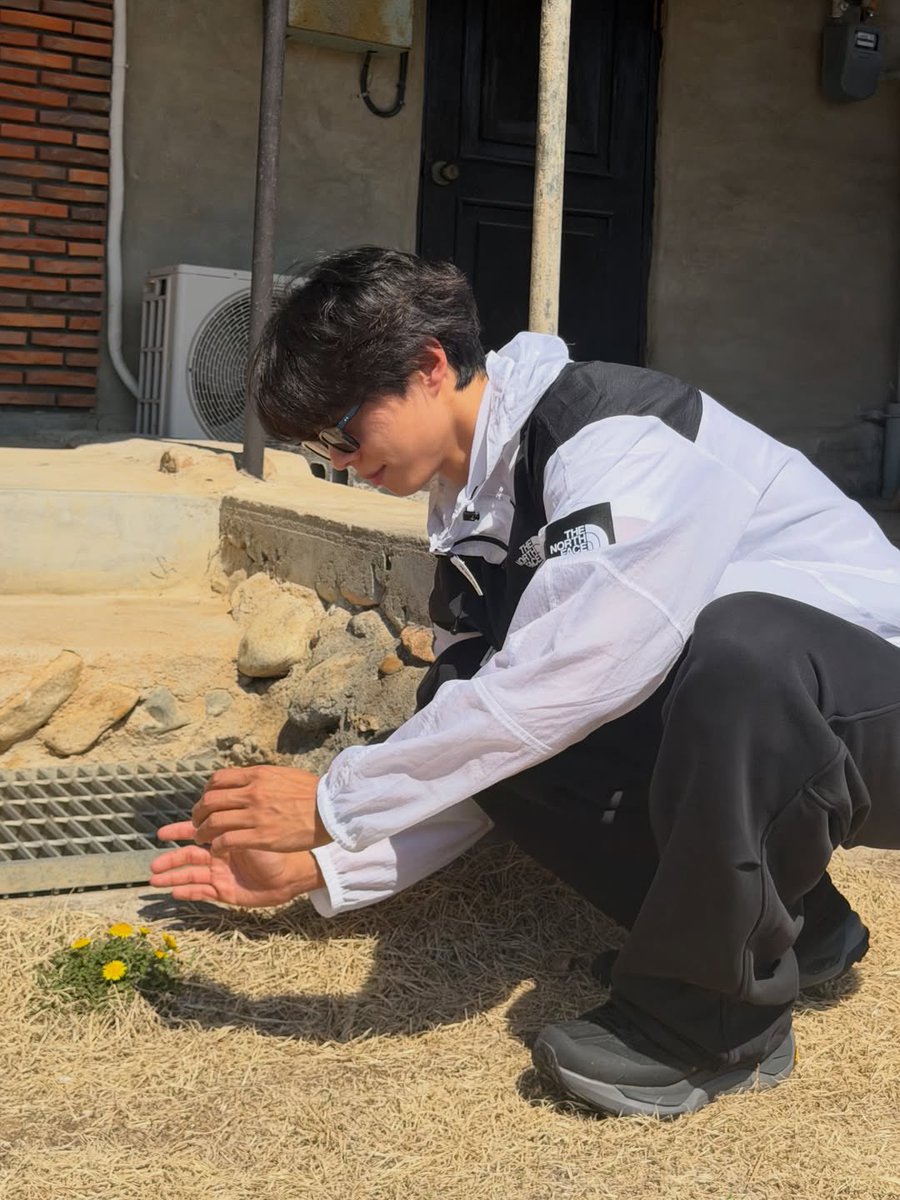 Hourly Bogummy tweet media