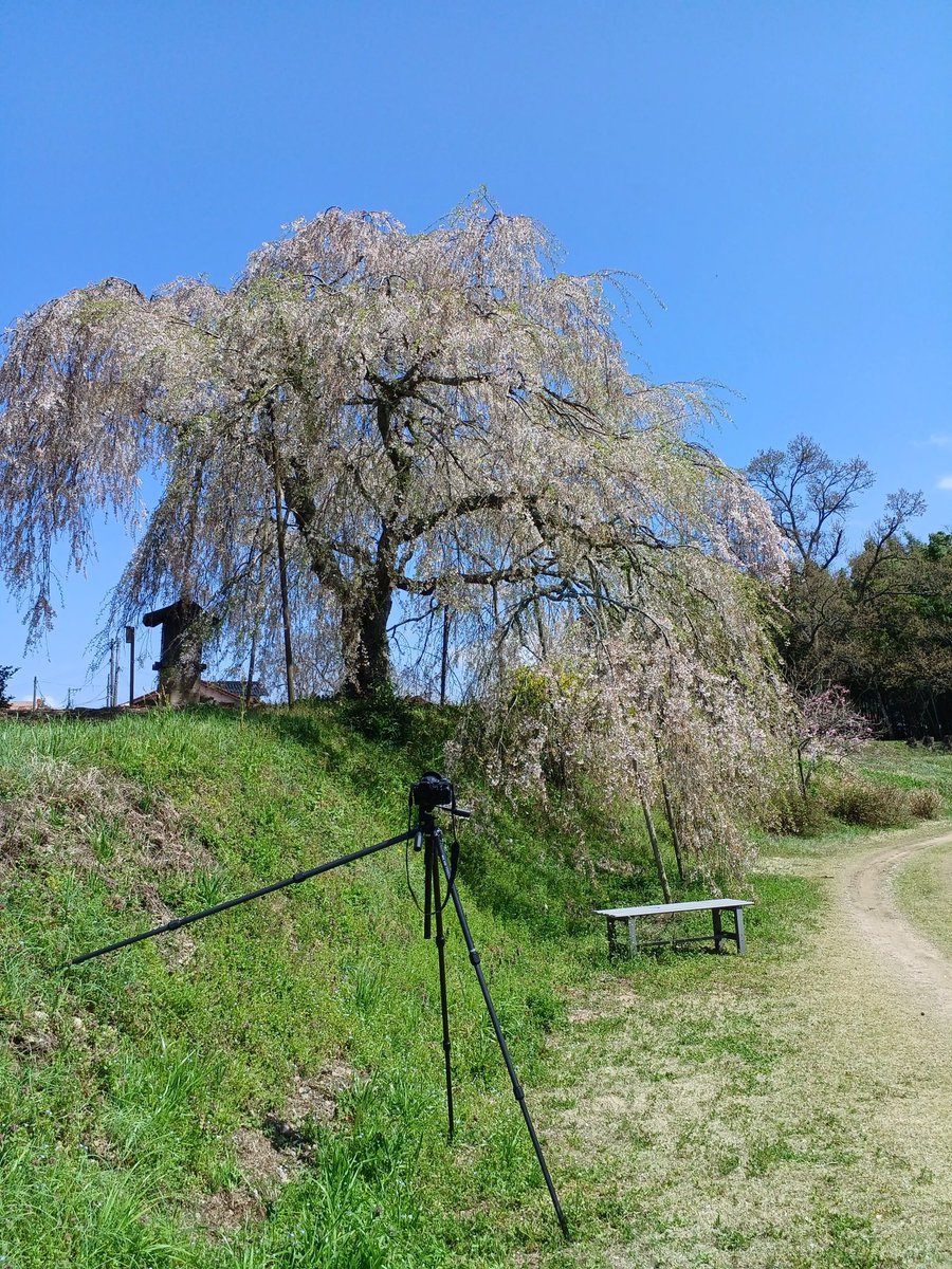 goodtime＠二千年一夜_25th Anniversary tweet media