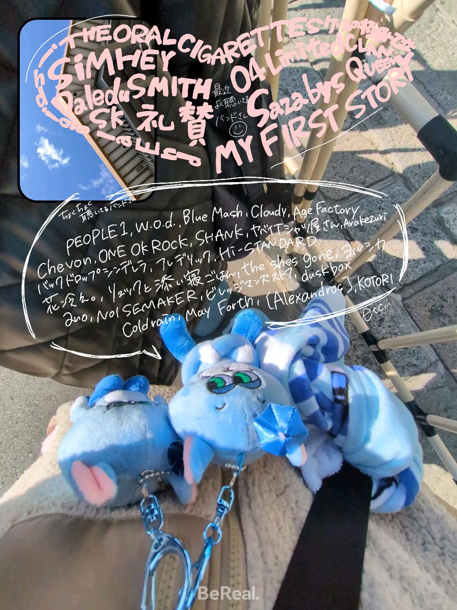 ぱふニｬンコDX🐈‍⬛ tweet media