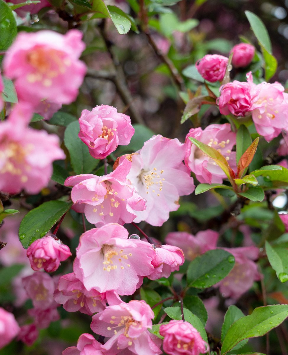 暦生活 tweet media